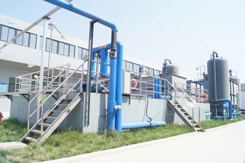 湯溝酒業榮膺“江蘇省綠色工廠”稱號，以綠色發展引領行業新風尚